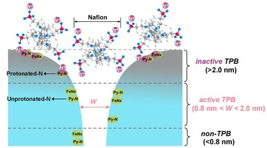 Sci Adv 三相界面 周志有 王宇成 202211 图片.jpg