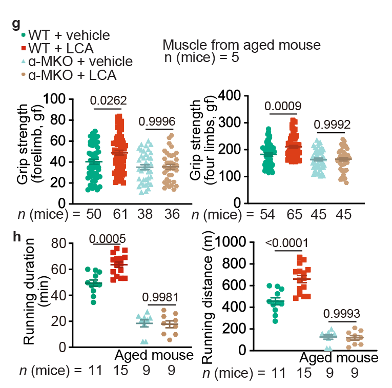 722f1b7b-5a7d-492c-9f5a-1ab834172ae6.png 图5.png