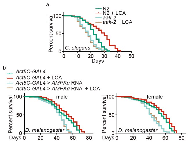 64e3bbee-f326-4099-b263-414ed207f2ec.png 图4.png