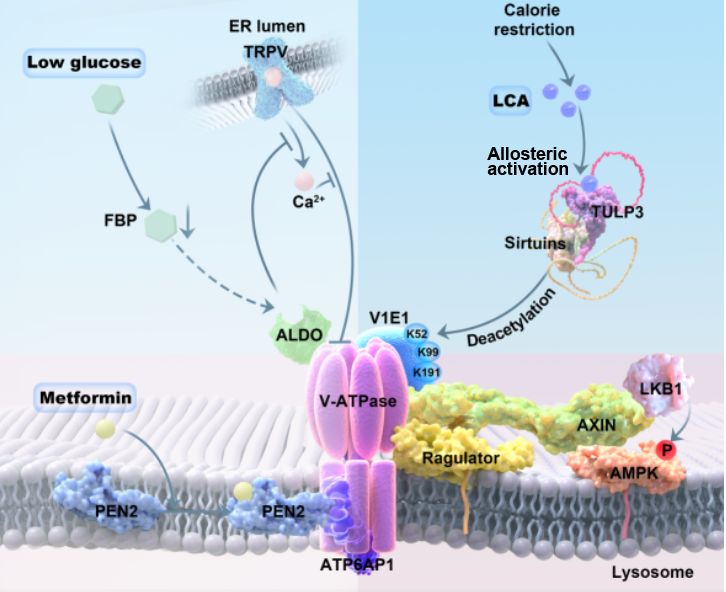 2b9fdb12-6c87-4435-9bee-eb1ff47c209e.png 图10.png