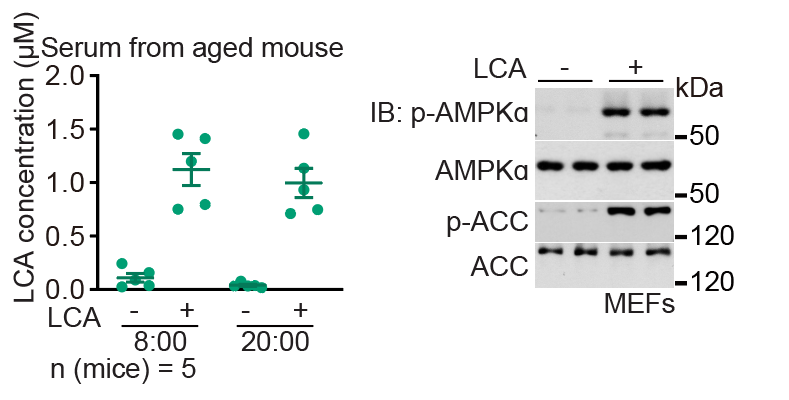 8c6a1529-c2fa-4693-b053-f561cffef3ca.png 图3.png