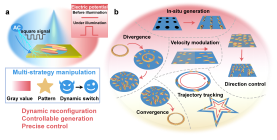 bc2465af-db5d-49c1-9139-9caecaa50bb7.png 图片1.png