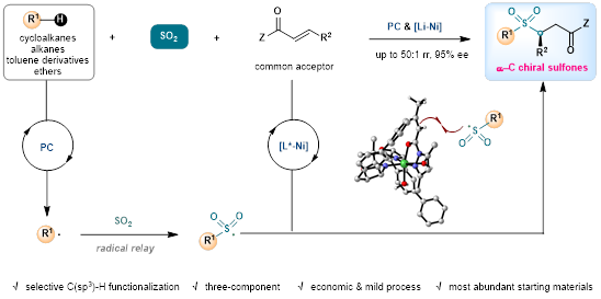 成果图片 (1).png