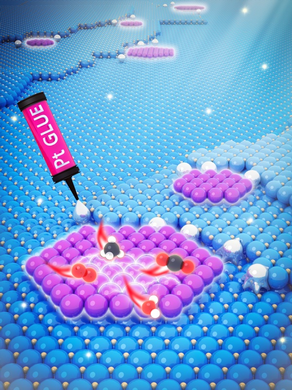 nature catalysis 202110 熊海峰 成果图片.jpg