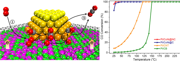 Nat. Commun 202110 邓德会等 图片.jpg