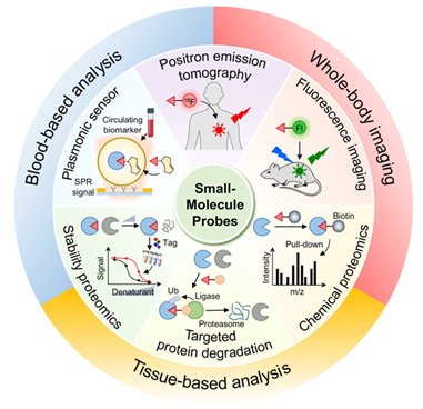 e85eebac-a4cb-4ffb-ae34-e10e9c206138.png image.png