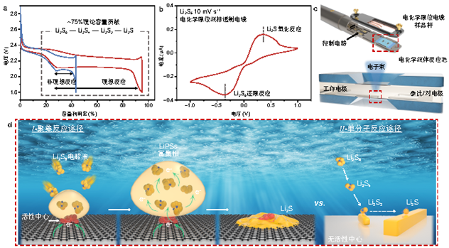 c8f88126-113d-41c6-a6fd-061f00686a18.png imagepng