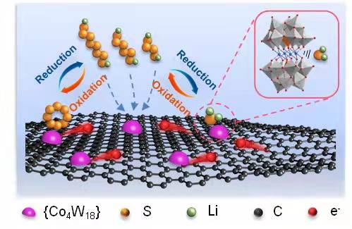 Nature commun 陈嘉嘉 20220110 成果图片.jpg