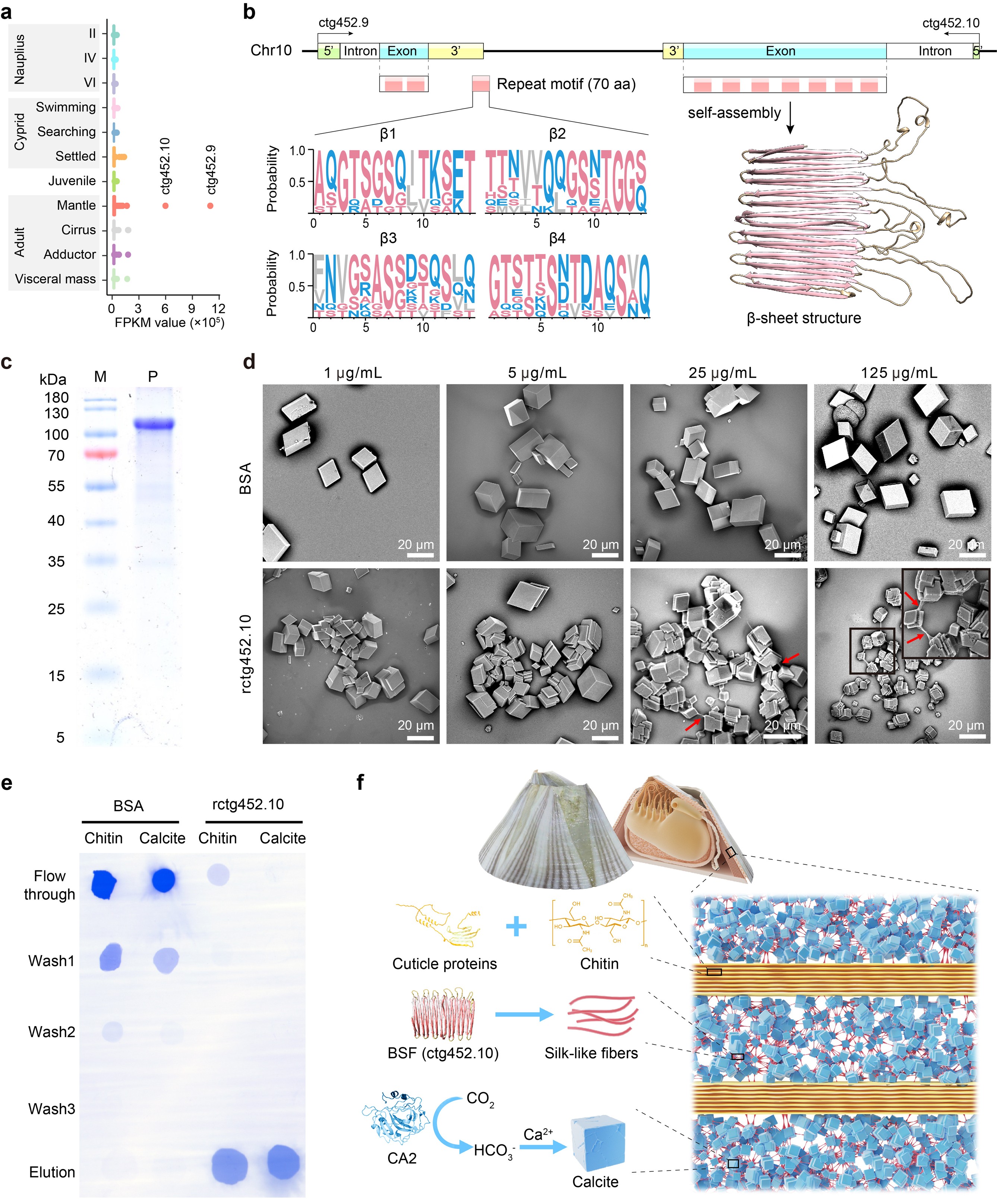 bb00459e-ae74-42d6-8191-f2e38f0a6d1c.jpg 图片3.jpg