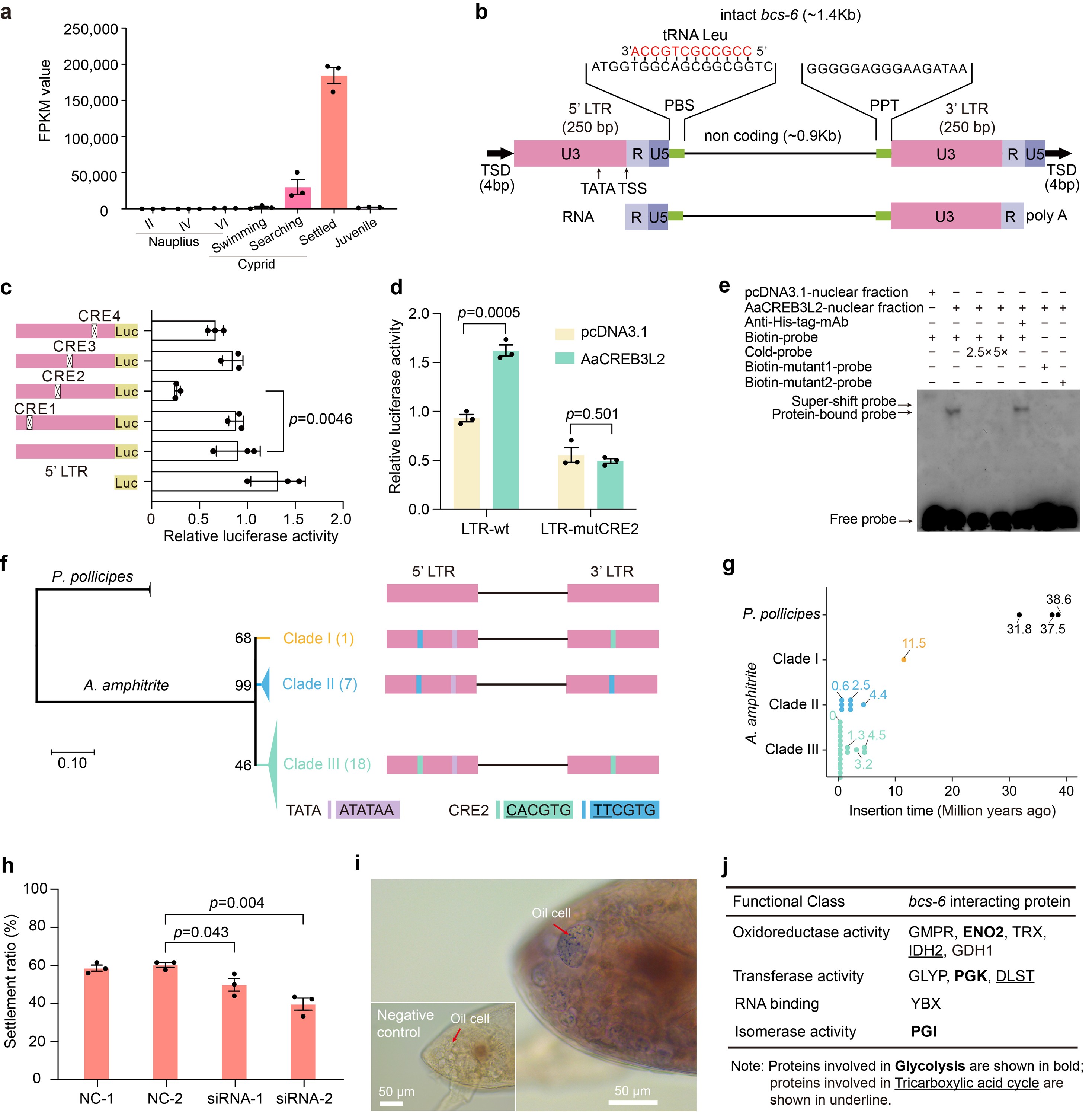 6e160954-9d31-4efa-aa34-e4191376cbf9.jpg 图片2.jpg