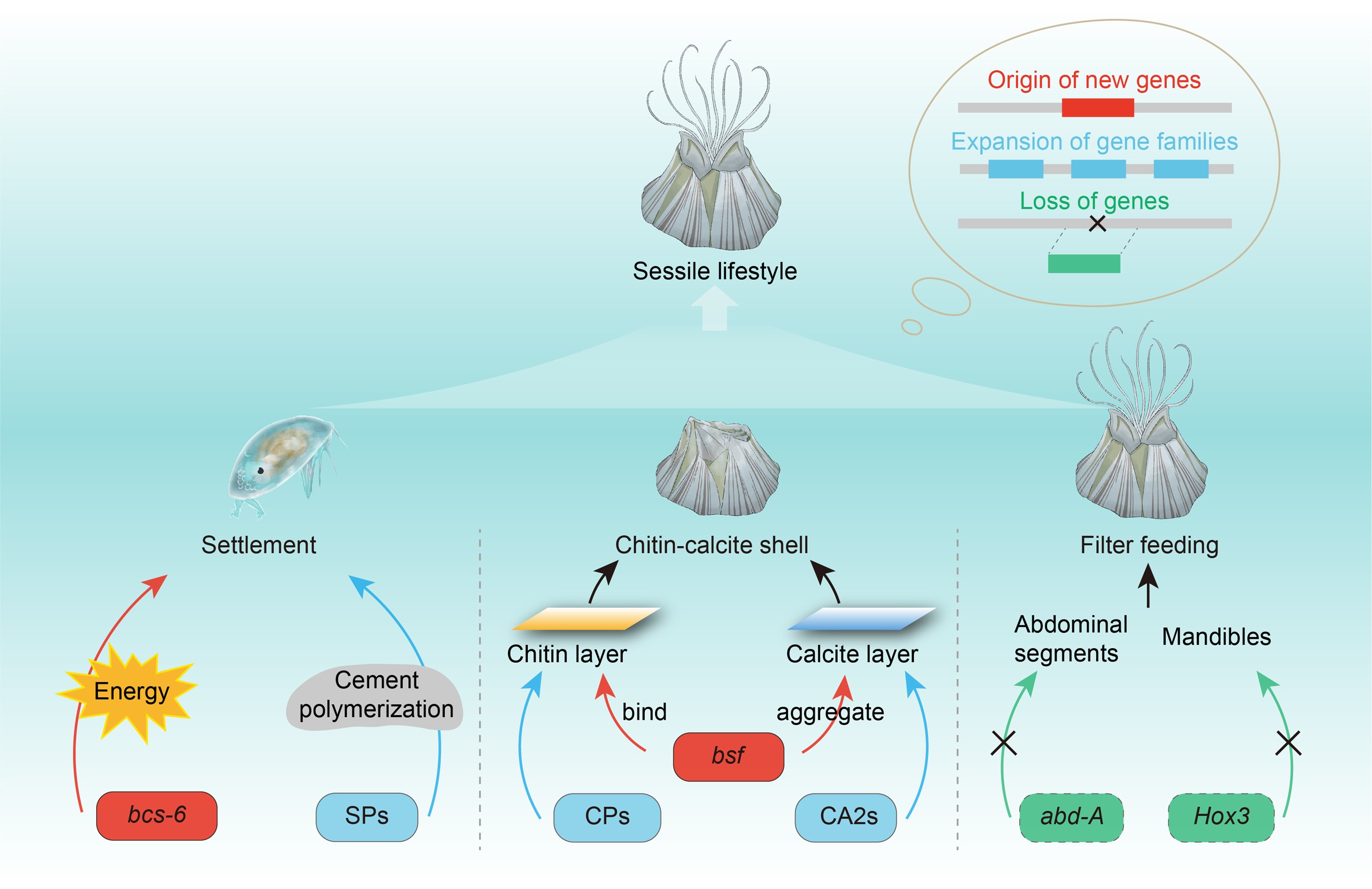 dfda3f17-cdee-45fb-9db5-1c2b3d3e0f0f.jpg 图片1.jpg