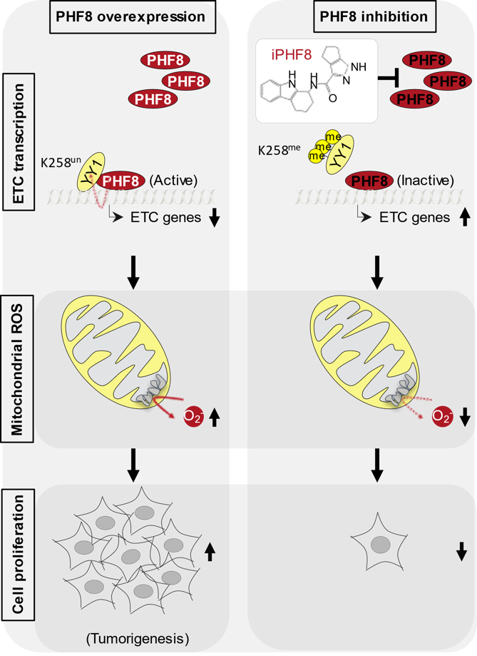 01c852fd-2e0f-41fc-88de-1a1ca6e2279a.png 图片2.png