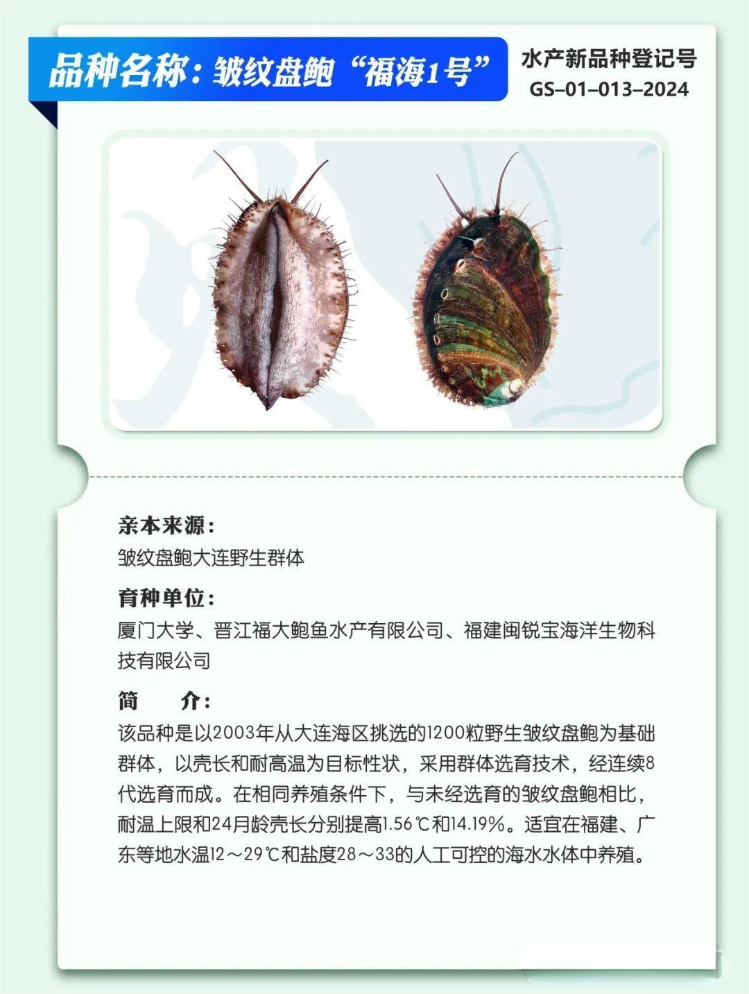 e63cac00-1eef-4980-bc6a-a3bea19baf68.png 33.png