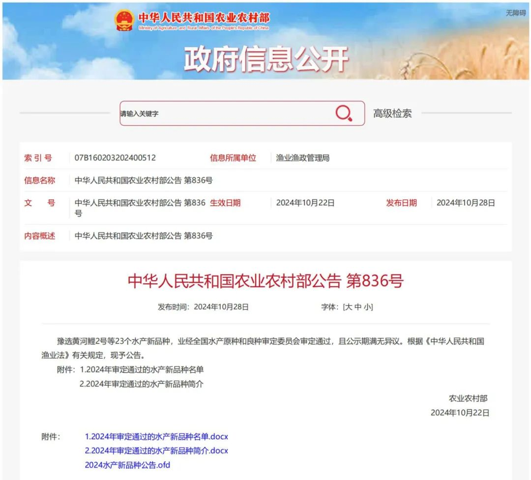 488e36d6-a393-4c54-893c-0283772c8918.png 22.png